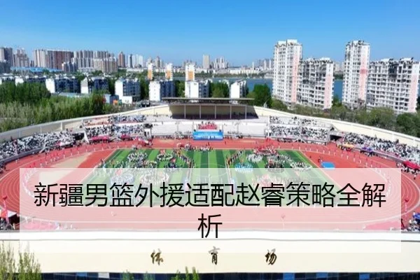 新疆男篮外援适配赵睿策略全解析