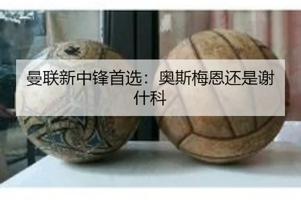 曼联新中锋首选：奥斯梅恩还是谢什科